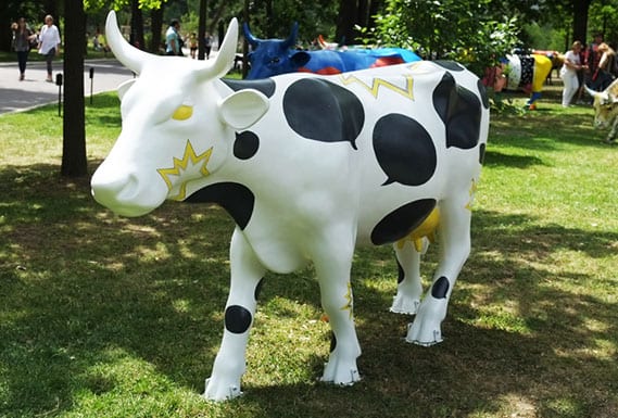 Cowmunicante, design événementiel