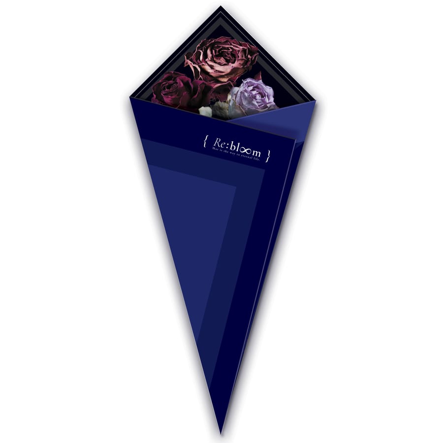 Re:bloom, brochure Pliante