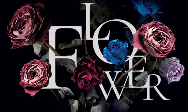 Re:bloom, brochure Pliante