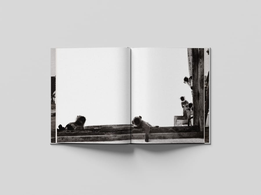 Spiral Code — Wataru Igarashi, livre photo