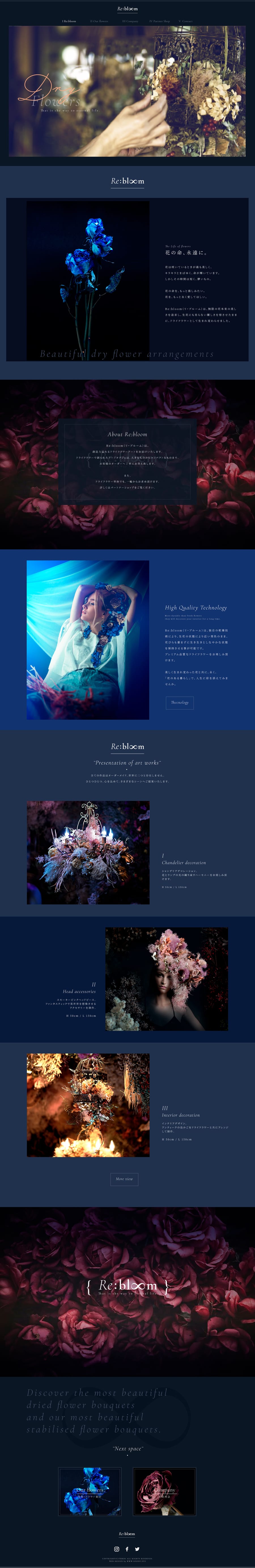 Re:bloom, fleurs séchées