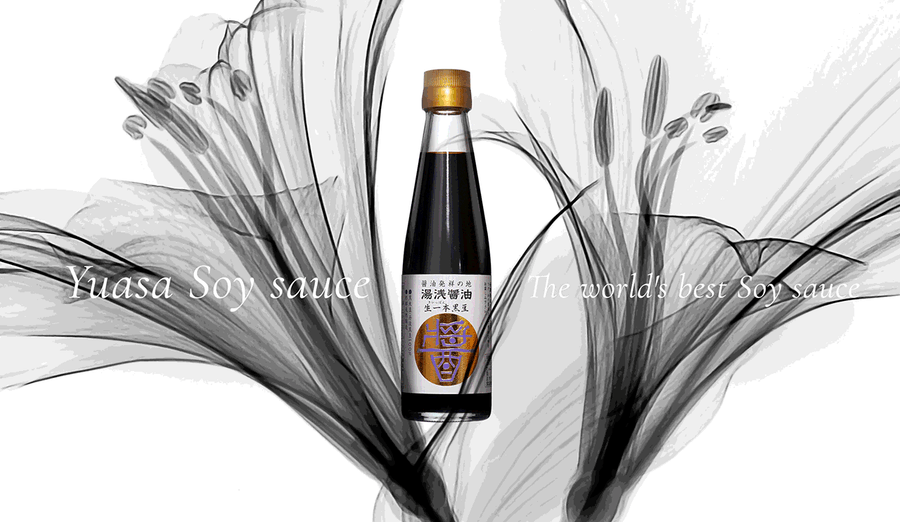 Yuasa Soy sauce, sauce soja traditionnelle